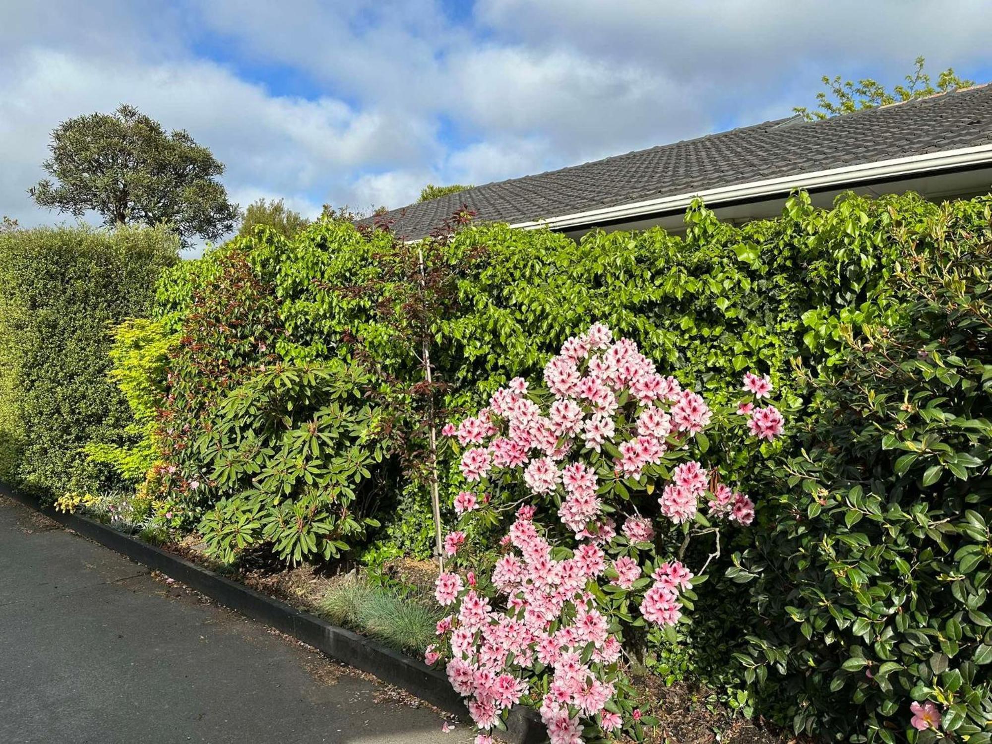 The Airport Homestay House Christchurch Ngoại thất bức ảnh